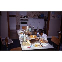 Thanksgiving After.jpg